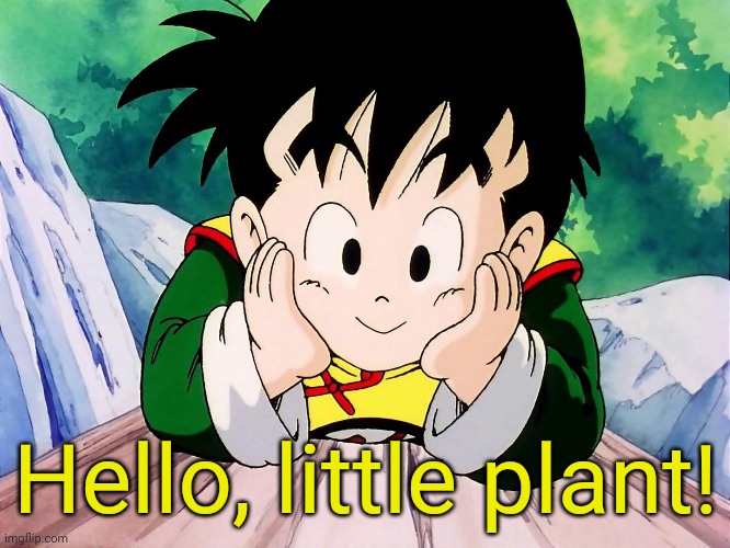 Cute Gohan (DBZ) | Hello, little plant! | image tagged in cute gohan dbz | made w/ Imgflip meme maker