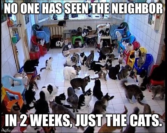 Crazy cat Lady | NO ONE HAS SEEN THE NEIGHBOR; IN 2 WEEKS, JUST THE CATS. | image tagged in crazy cat lady | made w/ Imgflip meme maker