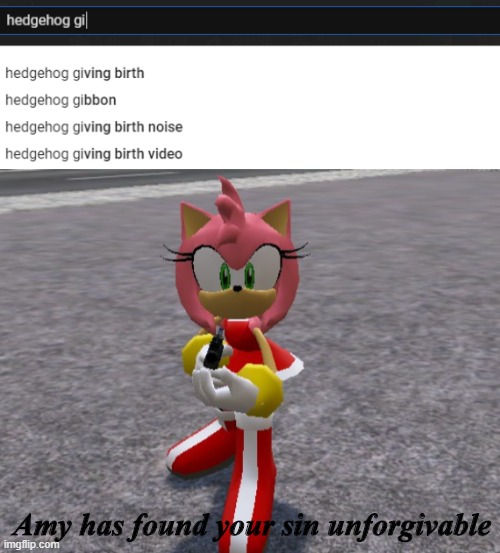 Amy Rose has found your sin unforgivable | Amy has found your sin unforgivable | image tagged in amy rose with a shotgun,oh god why,memes | made w/ Imgflip meme maker