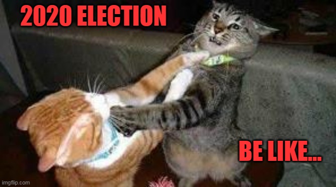 Catfight! | 2020 ELECTION; BE LIKE... | image tagged in 2020 elections,maga 2020,pedojoe,china,liberals,conservatives | made w/ Imgflip meme maker