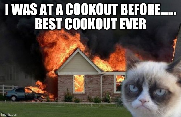 Best cookout ever | I WAS AT A COOKOUT BEFORE......
BEST COOKOUT EVER | image tagged in memes,burn kitty,grumpy cat | made w/ Imgflip meme maker