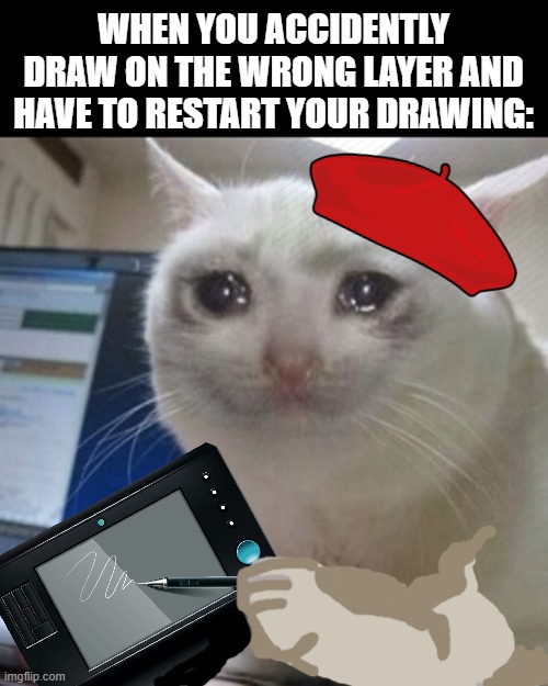 *Sad dweeb noises* | WHEN YOU ACCIDENTLY DRAW ON THE WRONG LAYER AND HAVE TO RESTART YOUR DRAWING: | image tagged in crying cat,art,mistakes | made w/ Imgflip meme maker