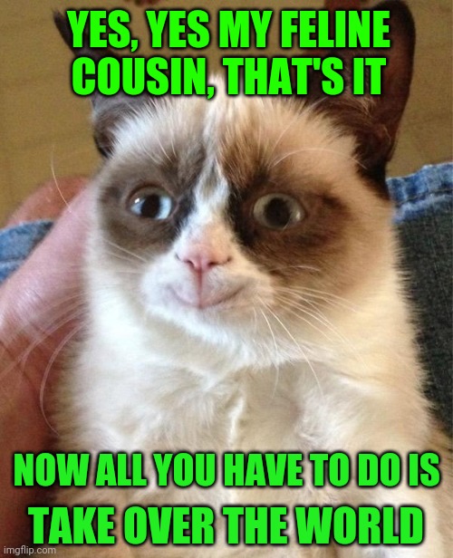 Grumpy Cat Happy Meme | YES, YES MY FELINE COUSIN, THAT'S IT NOW ALL YOU HAVE TO DO IS TAKE OVER THE WORLD | image tagged in memes,grumpy cat happy,grumpy cat | made w/ Imgflip meme maker