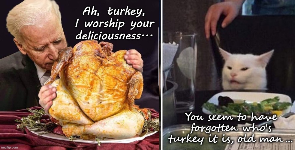 Seriously, Dude??? |  Ah, turkey, I worship your deliciousness... You seem to have forgotten who's turkey it is, old man... | image tagged in turkey,sleepy joe,smudge the cat | made w/ Imgflip meme maker