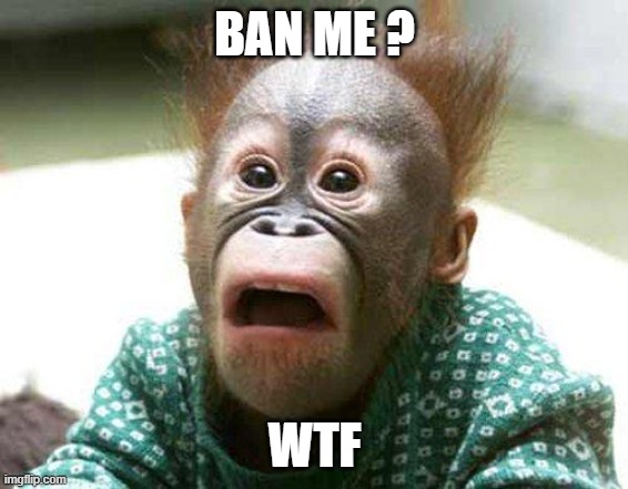 ban me | BAN ME ? WTF | image tagged in ban me | made w/ Imgflip meme maker