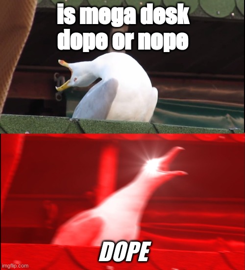 dope bird | is mega desk dope or nope; DOPE | image tagged in screaming bird | made w/ Imgflip meme maker