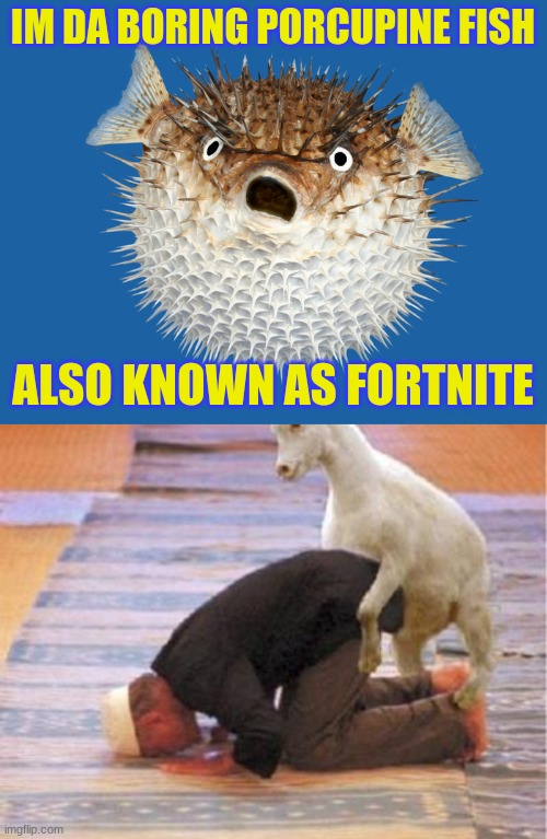 Also known as pufferprocupinefish | IM DA BORING PORCUPINE FISH; ALSO KNOWN AS FORTNITE | image tagged in porcupine fish,offensivegoatisoffensive | made w/ Imgflip meme maker