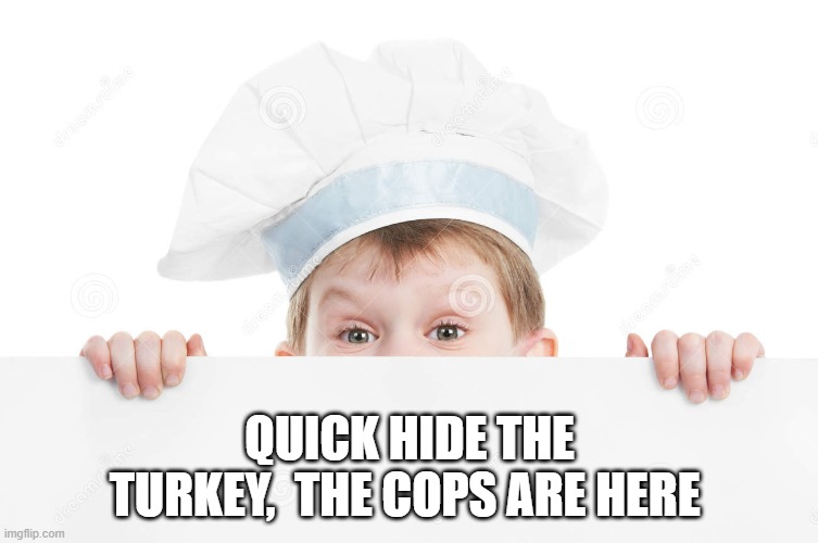 the new prohibition | QUICK HIDE THE TURKEY,  THE COPS ARE HERE | image tagged in turkeys | made w/ Imgflip meme maker