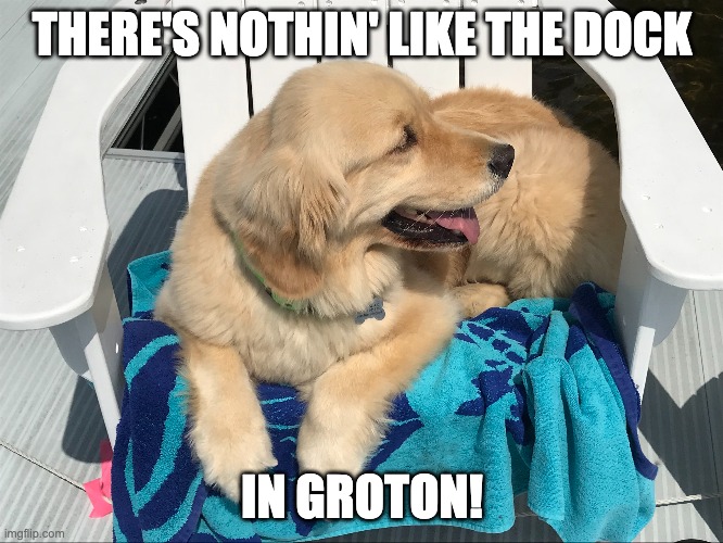 golden retriever | THERE'S NOTHIN' LIKE THE DOCK; IN GROTON! | image tagged in summer | made w/ Imgflip meme maker