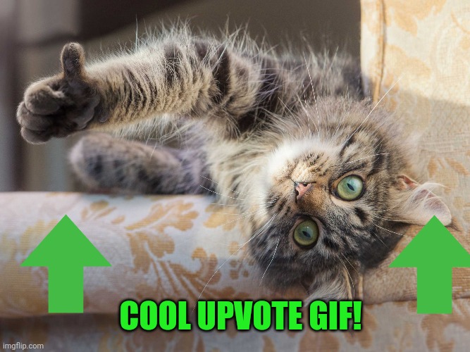 Cat thumbs up 2 | COOL UPVOTE GIF! | image tagged in cat thumbs up 2 | made w/ Imgflip meme maker