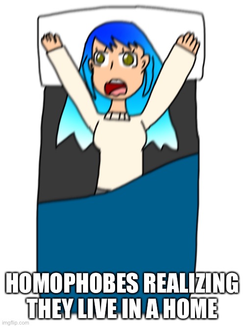 HOMOPHOBES REALIZING THEY LIVE IN A HOME | image tagged in frozetta screem | made w/ Imgflip meme maker