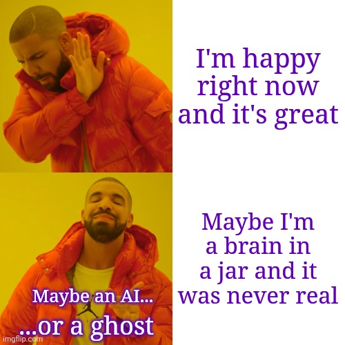 People like me overthinking it | I'm happy right now and it's great; Maybe I'm a brain in a jar and it was never real; Maybe an AI... ...or a ghost | image tagged in memes,drake hotline bling,reality,sudden realization,when you realize | made w/ Imgflip meme maker