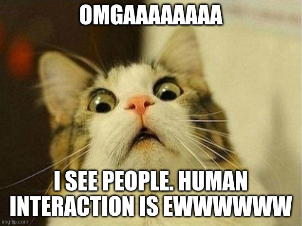 Scared Cat | OMGAAAAAAAA; I SEE PEOPLE. HUMAN INTERACTION IS EWWWWWW | image tagged in memes,scared cat | made w/ Imgflip meme maker