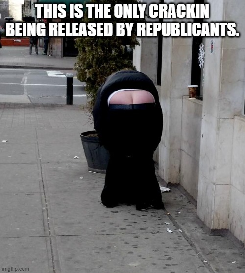 butt crack  | THIS IS THE ONLY CRACKIN BEING RELEASED BY REPUBLICANTS. | image tagged in butt crack | made w/ Imgflip meme maker