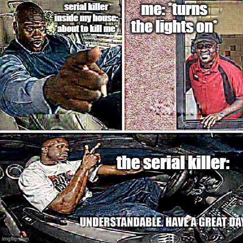 wow ok |  me: *turns the lights on*; serial killer inside my house: *about to kill me*; the serial killer: | image tagged in understandable have a great day | made w/ Imgflip meme maker