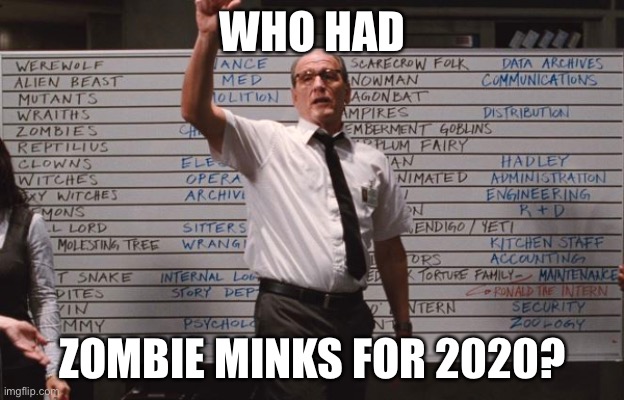 2020 | WHO HAD; ZOMBIE MINKS FOR 2020? | image tagged in who had | made w/ Imgflip meme maker