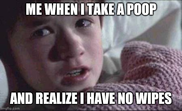 I See Dead People Meme | ME WHEN I TAKE A POOP; AND REALIZE I HAVE NO WIPES | image tagged in memes,i see dead people | made w/ Imgflip meme maker