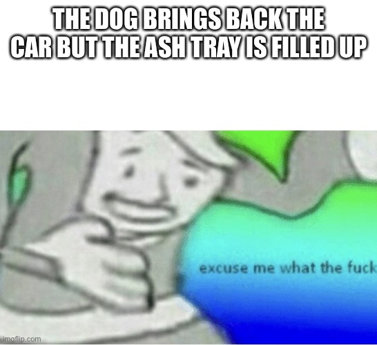 Excuse me wtf blank template | THE DOG BRINGS BACK THE CAR BUT THE ASH TRAY IS FILLED UP | image tagged in excuse me wtf blank template | made w/ Imgflip meme maker