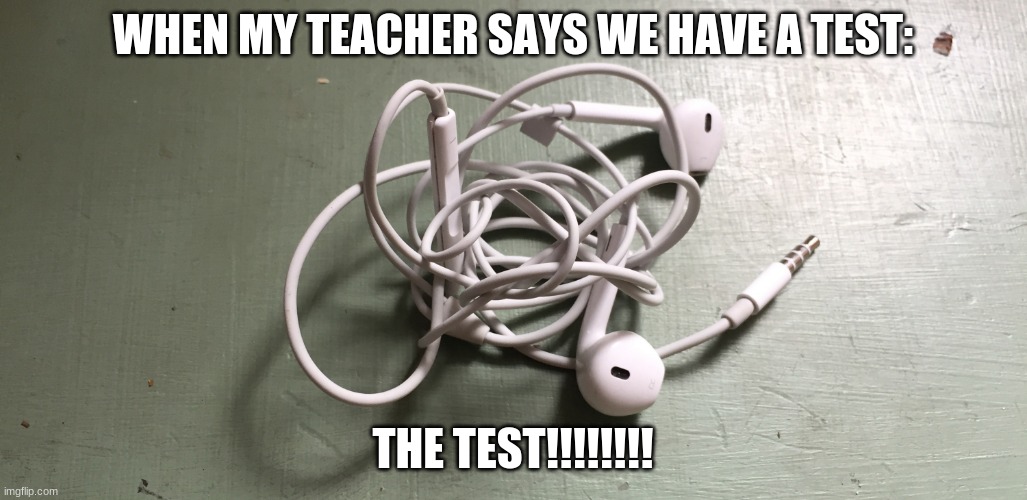 WHEN MY TEACHER SAYS WE HAVE A TEST:; THE TEST!!!!!!!! | image tagged in fun stuff | made w/ Imgflip meme maker