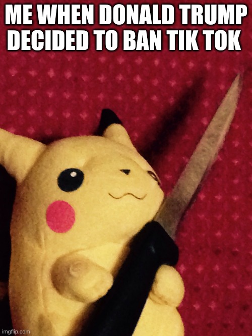 who agrees | ME WHEN DONALD TRUMP DECIDED TO BAN TIK TOK | image tagged in pikachu learned stab | made w/ Imgflip meme maker