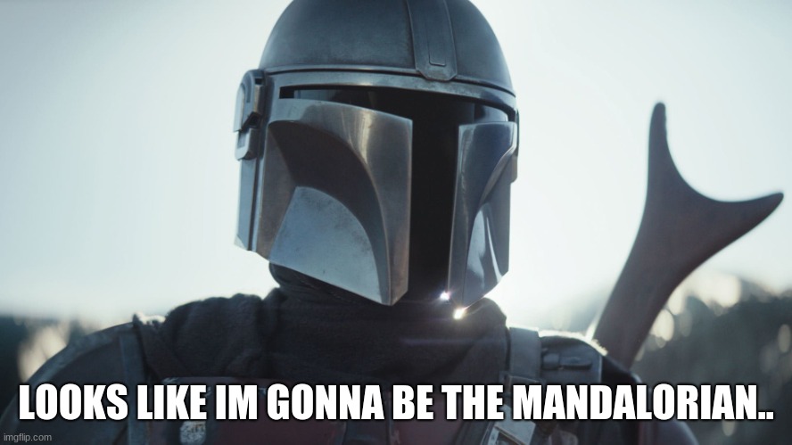 The Mandalorian. | LOOKS LIKE IM GONNA BE THE MANDALORIAN.. | image tagged in the mandalorian | made w/ Imgflip meme maker