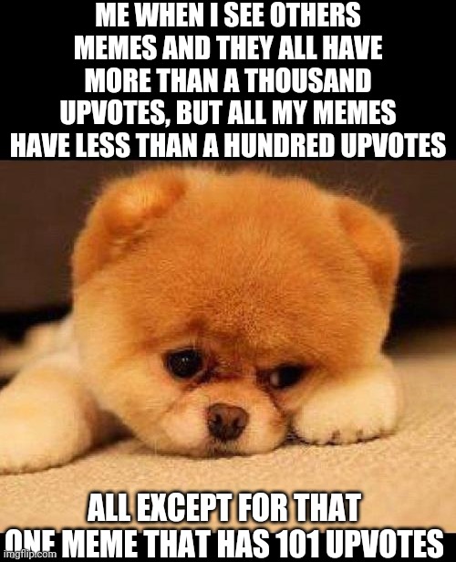 Sad doge | ME WHEN I SEE OTHERS MEMES AND THEY ALL HAVE MORE THAN A THOUSAND UPVOTES, BUT ALL MY MEMES HAVE LESS THAN A HUNDRED UPVOTES; ALL EXCEPT FOR THAT ONE MEME THAT HAS 101 UPVOTES | image tagged in sad dog | made w/ Imgflip meme maker