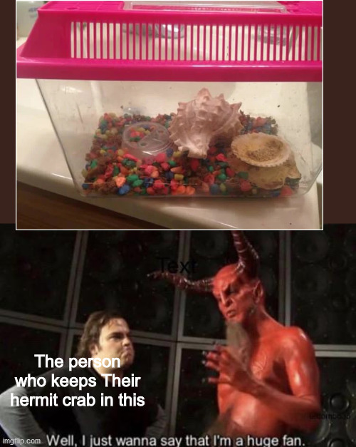 The person who keeps Their hermit crab in this | image tagged in know your meme well i just wanna say that i'm a huge fan | made w/ Imgflip meme maker
