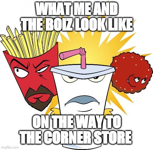 Me N' The Boiz | WHAT ME AND THE BOIZ LOOK LIKE; ON THE WAY TO THE CORNER STORE | image tagged in aqua teen hunger force | made w/ Imgflip meme maker