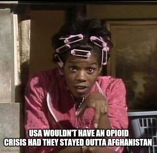 USA WOULDN'T HAVE AN OPIOID CRISIS HAD THEY STAYED OUTTA AFGHANISTAN | image tagged in politics | made w/ Imgflip meme maker
