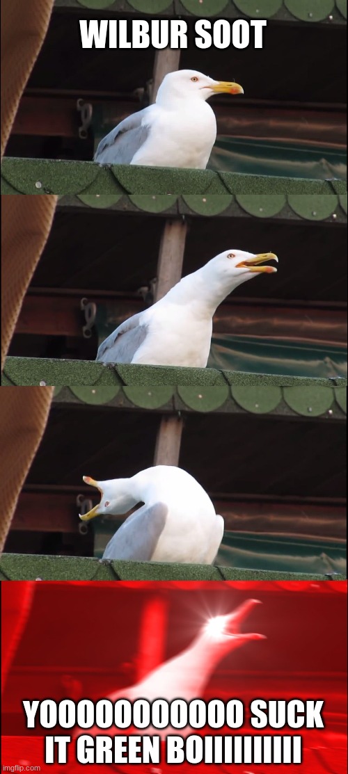 Wilbur Soot | WILBUR SOOT; YOOOOOOOOOOO SUCK IT GREEN BOIIIIIIIIII | image tagged in memes,inhaling seagull | made w/ Imgflip meme maker