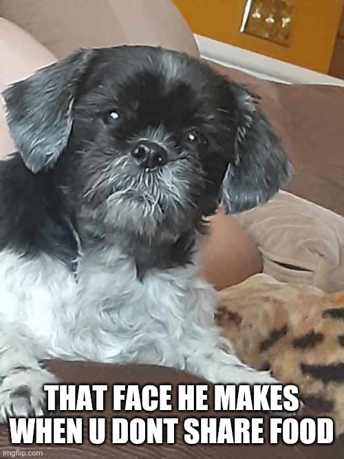 THAT FACE HE MAKES WHEN U DONT SHARE FOOD | made w/ Imgflip meme maker