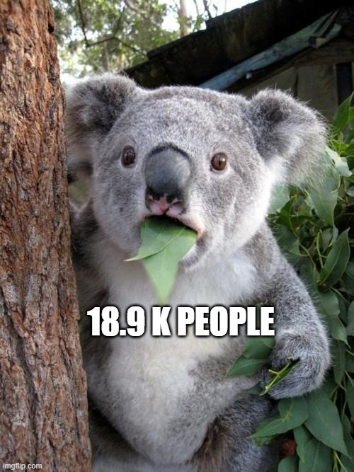Surprised Koala Meme | 18.9 K PEOPLE | image tagged in memes,surprised koala | made w/ Imgflip meme maker