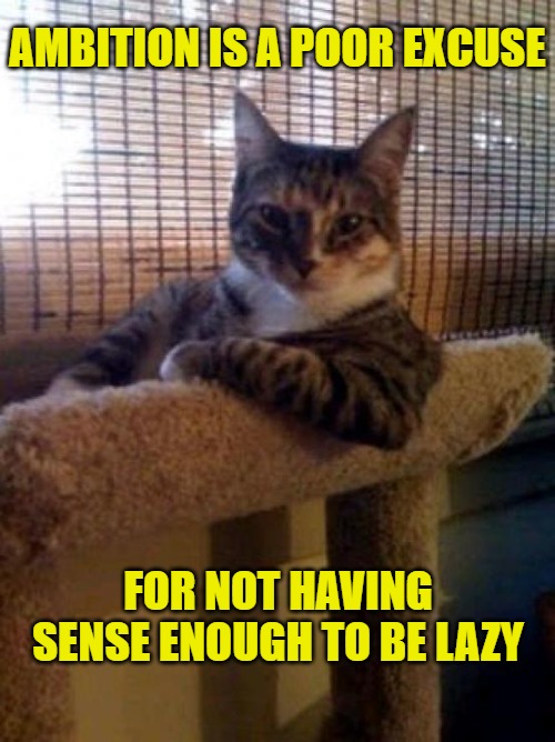 The Most Interesting Cat In The World | AMBITION IS A POOR EXCUSE; FOR NOT HAVING SENSE ENOUGH TO BE LAZY | image tagged in memes,the most interesting cat in the world | made w/ Imgflip meme maker