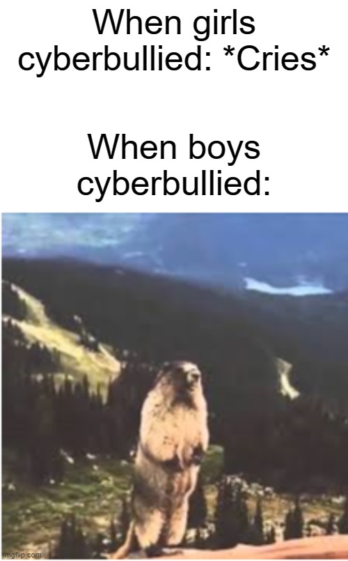 When you are cyberbullied | When girls cyberbullied: *Cries*; When boys cyberbullied: | image tagged in screaming | made w/ Imgflip meme maker