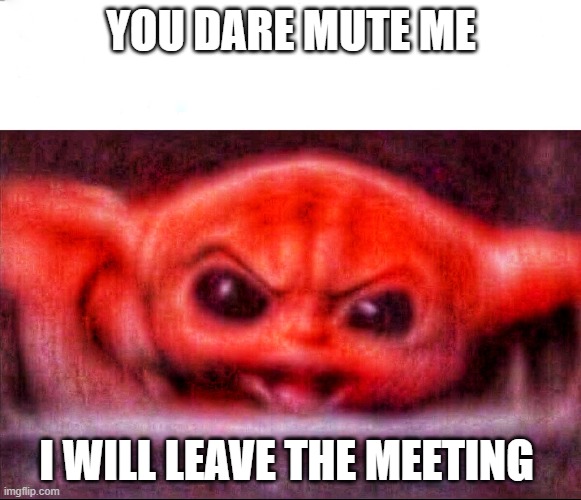 Angry baby yoda | YOU DARE MUTE ME; I WILL LEAVE THE MEETING | image tagged in angry baby yoda | made w/ Imgflip meme maker