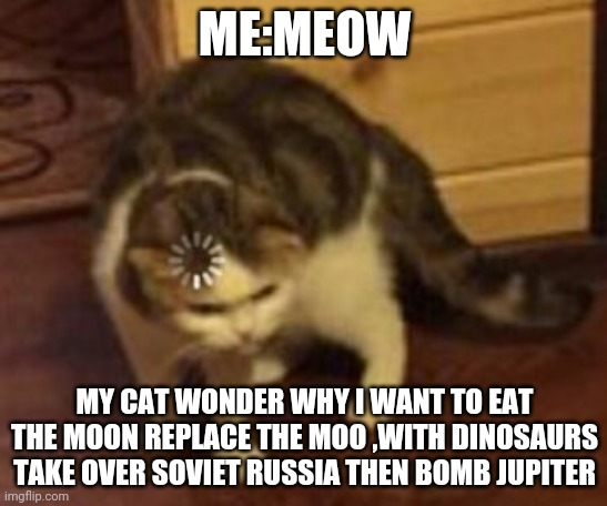 Loading cat | ME:MEOW; MY CAT WONDER WHY I WANT TO EAT THE MOON REPLACE THE MOO ,WITH DINOSAURS TAKE OVER SOVIET RUSSIA THEN BOMB JUPITER | image tagged in loading cat,bruh moment,certified bruh moment,confused cat | made w/ Imgflip meme maker