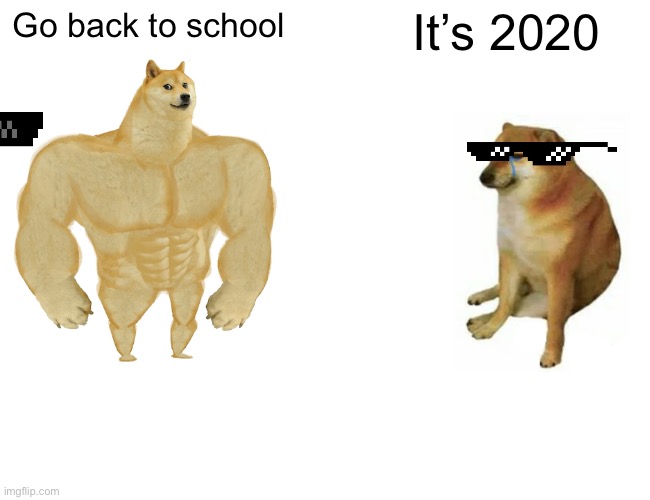 Buff Doge vs. Cheems Meme | Go back to school; It’s 2020 | image tagged in memes,buff doge vs cheems | made w/ Imgflip meme maker