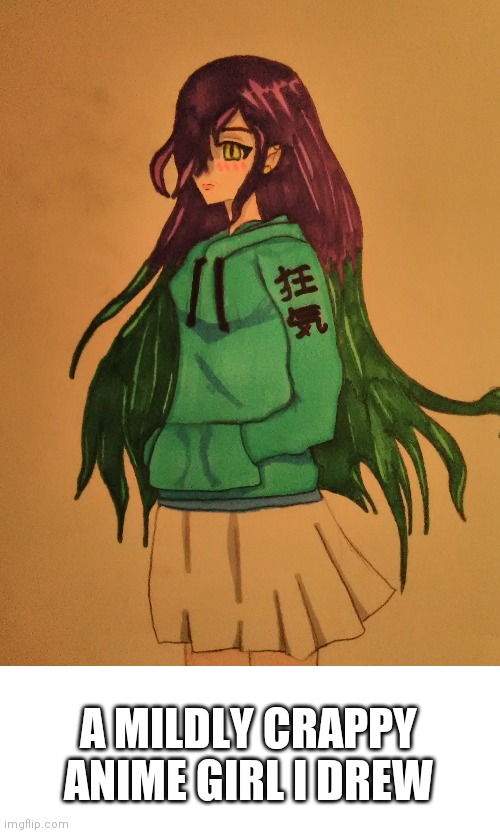Random Anime Art ig | A MILDLY CRAPPY ANIME GIRL I DREW | image tagged in art,anime | made w/ Imgflip meme maker