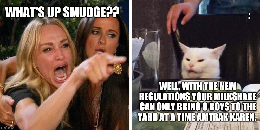 Smudge the cat | J M; WHAT'S UP SMUDGE?? WELL, WITH THE NEW REGULATIONS YOUR MILKSHAKE CAN ONLY BRING 9 BOYS TO THE YARD AT A TIME AMTRAK KAREN. | image tagged in smudge the cat | made w/ Imgflip meme maker