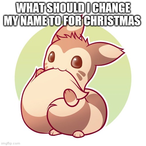 Cute ferret | WHAT SHOULD I CHANGE MY NAME TO FOR CHRISTMAS | image tagged in cute ferret | made w/ Imgflip meme maker