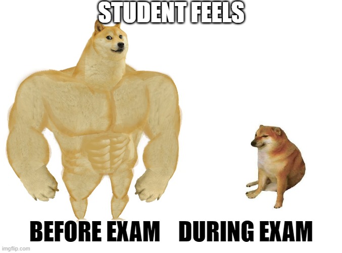 Big dog small dog | STUDENT FEELS; BEFORE EXAM    DURING EXAM | image tagged in big dog small dog | made w/ Imgflip meme maker