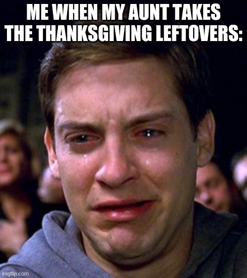 crying peter parker | ME WHEN MY AUNT TAKES THE THANKSGIVING LEFTOVERS: | image tagged in crying peter parker | made w/ Imgflip meme maker