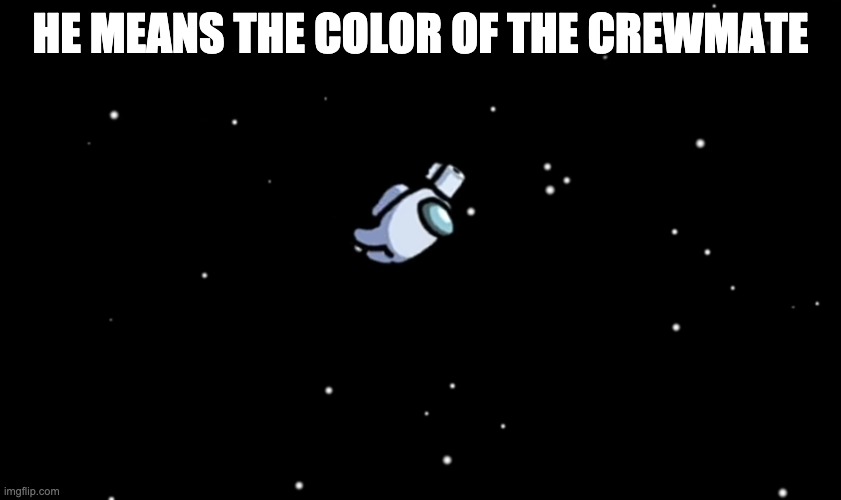 Among Us ejected | HE MEANS THE COLOR OF THE CREWMATE | image tagged in among us ejected | made w/ Imgflip meme maker