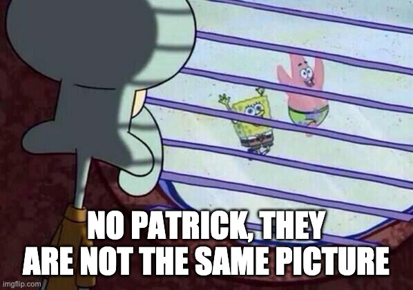 Squidward window | NO PATRICK, THEY ARE NOT THE SAME PICTURE | image tagged in squidward window | made w/ Imgflip meme maker