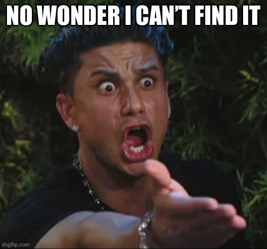 DJ Pauly D Meme | NO WONDER I CAN’T FIND IT | image tagged in memes,dj pauly d | made w/ Imgflip meme maker