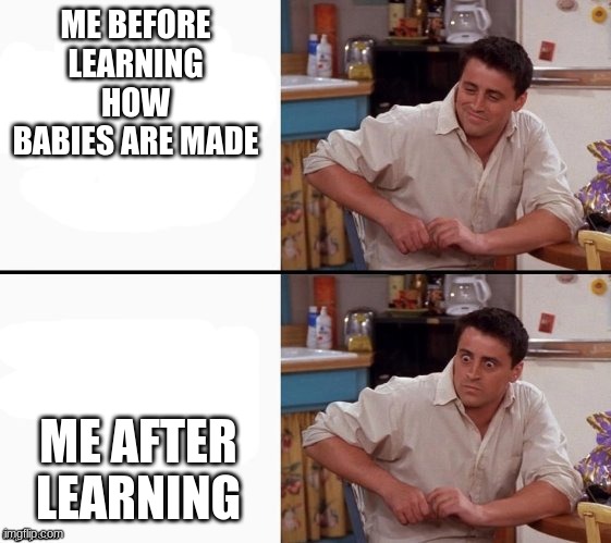 ... | ME BEFORE LEARNING HOW BABIES ARE MADE; ME AFTER LEARNING | image tagged in comprehending joey | made w/ Imgflip meme maker