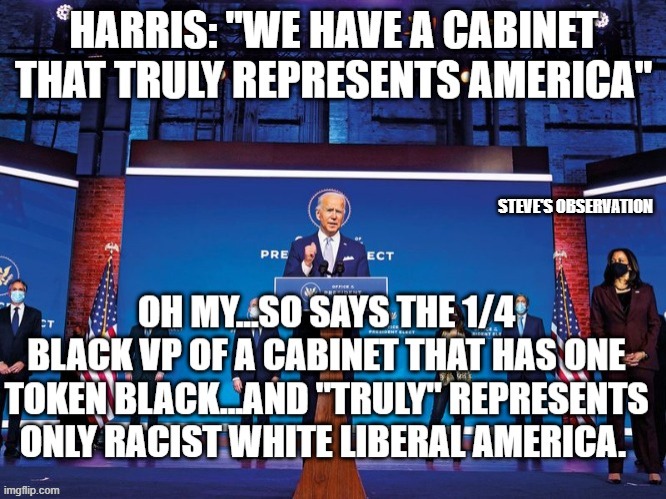 politics | STEVE'S OBSERVATION | image tagged in political meme | made w/ Imgflip meme maker