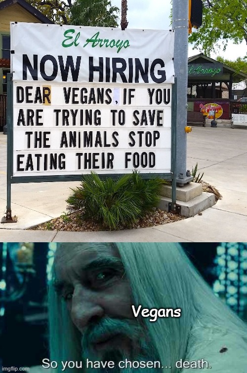 Congratulations for choosing death ??? Greetings from Vegans | Vegans | image tagged in blank white template | made w/ Imgflip meme maker