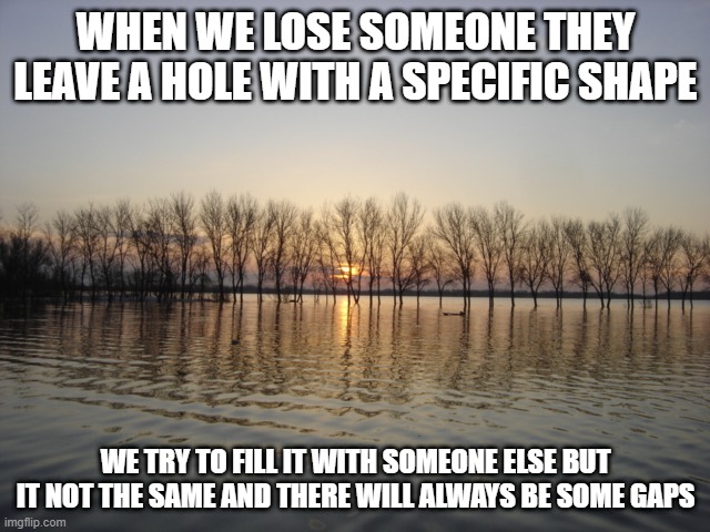 Serenity  | WHEN WE LOSE SOMEONE THEY LEAVE A HOLE WITH A SPECIFIC SHAPE; WE TRY TO FILL IT WITH SOMEONE ELSE BUT IT NOT THE SAME AND THERE WILL ALWAYS BE SOME GAPS | image tagged in serenity,AdviceAnimals | made w/ Imgflip meme maker