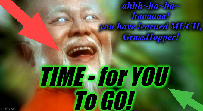 Master Po 2 | ahhh~ha~ha~
haaaaaa!
you have learned MUCH,
GrassHopper! TIME - for YOU
To GO! | image tagged in master po 2 | made w/ Imgflip meme maker